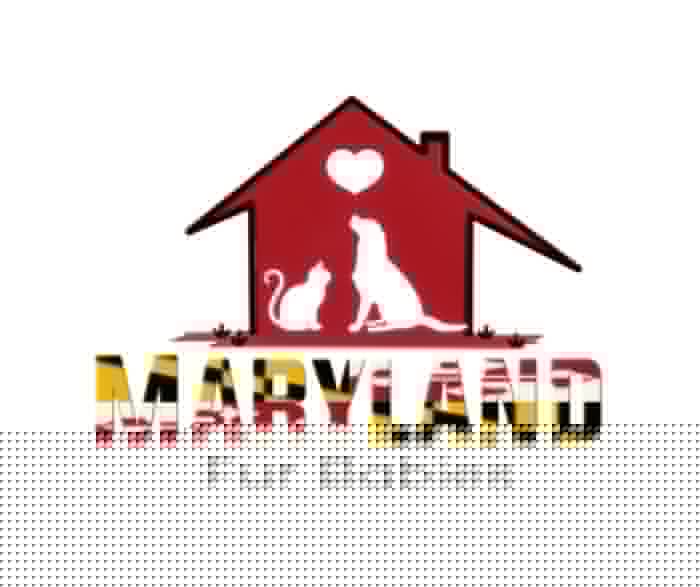 Maryland Fur Babies