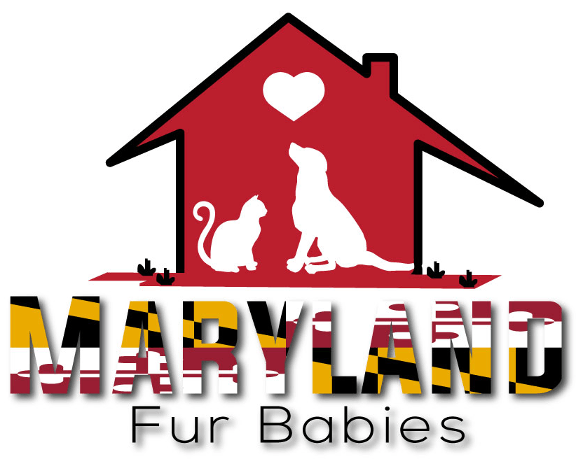 Maryland Fur Babies
